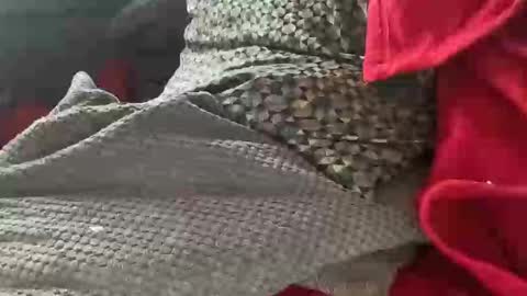 Snapshot of tom6644 chatting on January 9, 1:35 pm Tom online show from January 9, 1:35 pm