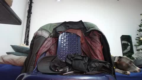   Thomas    online show from January 9, 10:52 pm