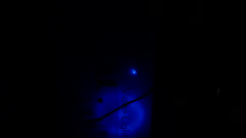   Thomas    online show from January 21, 10:30 pm