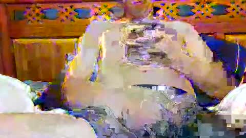 tomygolden online show from November 28, 3:20 am