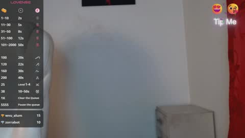 TONI BELMONT online show from January 28, 9:50 pm