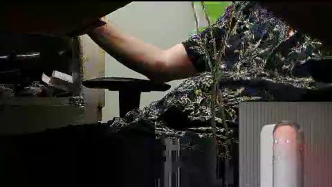 tontin69 online show from March 31, 12:12 am