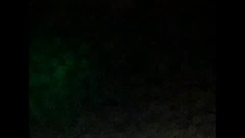 Snapshot of tonydigitt chatting on January 4, 10:05 am tonyd online show from January 4, 10:05 am