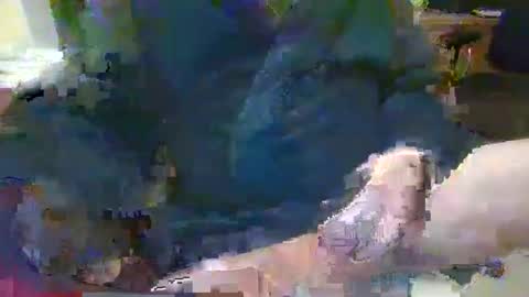 Snapshot of topcat127 chatting on January 26, 7:10 am Topcat127 online show from January 26, 7:10 am