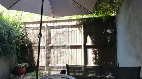 Topsy online show from February 14, 10:12 am