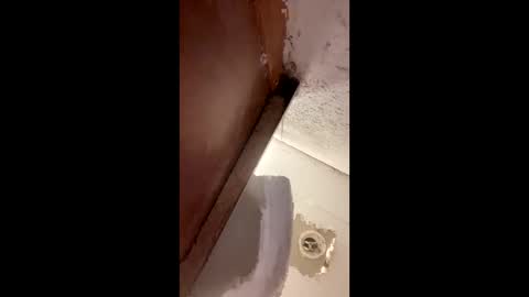 Snapshot of toronto5656 chatting on January 12, 4:00 am toronto5656 online show from January 12, 4:00 am