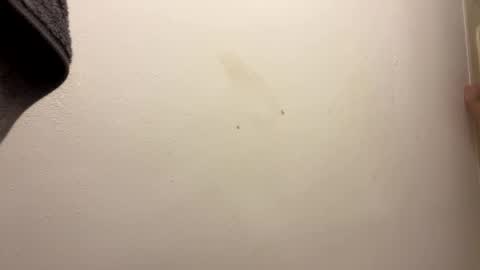 Snapshot of toronto5656 chatting on January 31, 6:46 am toronto5656 online show from January 31, 6:46 am