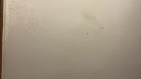 Snapshot of toronto5656 chatting on February 5, 3:20 pm toronto5656 online show from February 5, 3:20 pm