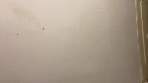 Snapshot of toronto5656 chatting on March 3, 3:31 pm toronto5656 online show from March 3, 3:31 pm