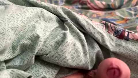 tos12345 online show from November 21, 12:15 pm