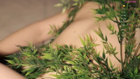 Toshi online show from September 21, 1:02 pm