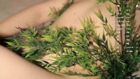 Toshi online show from January 18, 1:04 pm