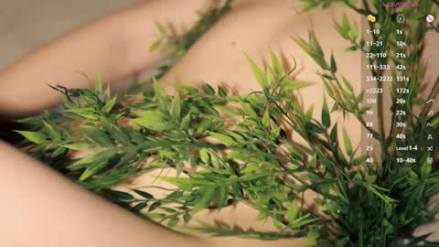 Toshi online show from January 19, 1:04 pm