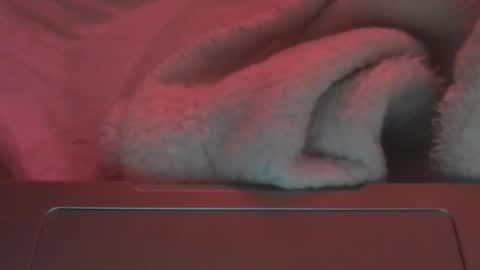 toxicanikki online show from February 23, 8:17 pm