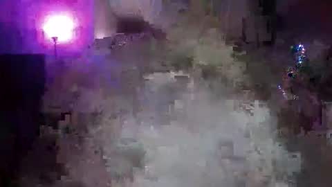 Snapshot of transgirl005 chatting on November 10, 10:03 am transgirl005 online show from November 10, 10:03 am