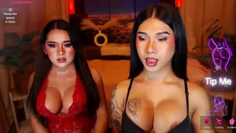 transpornidol online show from July 25, 4:43 am