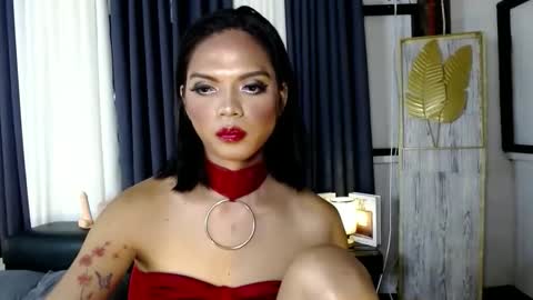 transsitips online show from December 5, 2:58 pm