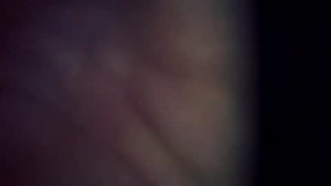 trex23rd online show from March 6, 11:39 am