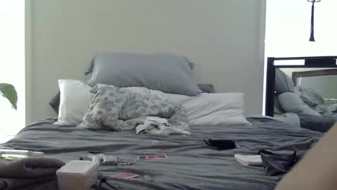 Snapshot of trickquestion chatting on February 19, 8:49 pm trickquestion online show from February 19, 8:49 pm