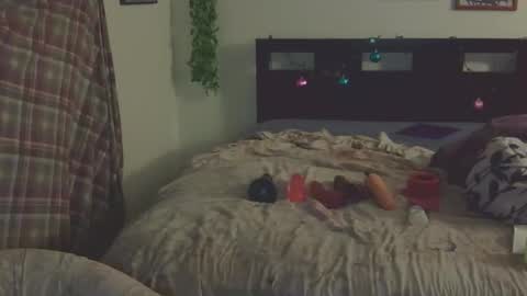 Snapshot of trinasvede chatting on March 22, 12:25 am Trina Tushy Deluxe online show from March 22, 12:25 am