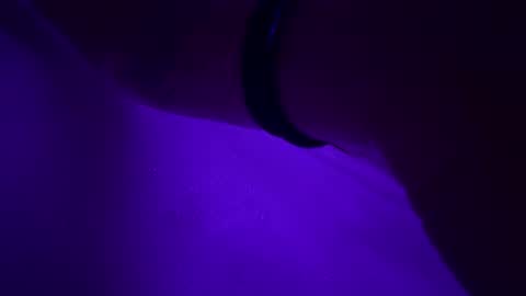 triplehero online show from December 30, 12:54 am