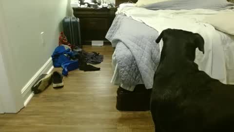 troy1965 online show from September 29, 4:39 am