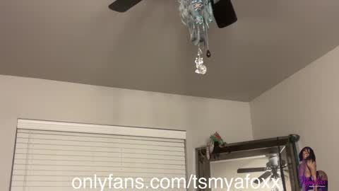 tsfoxx online show from December 11, 12:34 pm