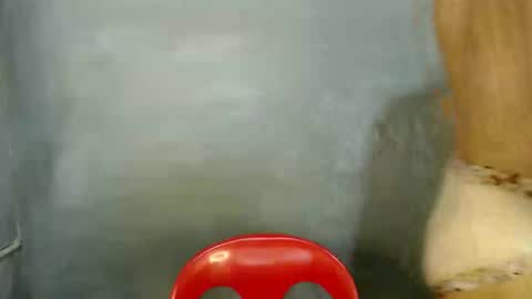 Paulyn online show from January 7, 5:54 am