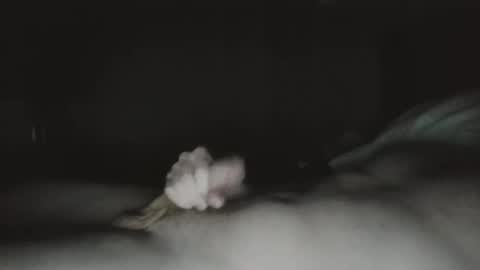 tucker 28 m online show from March 23, 1:31 am