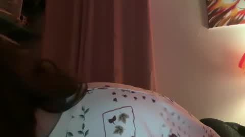 Snapshot of tulipisnotaperson chatting on February 2, 4:00 am Tulip online show from February 2, 4:00 am