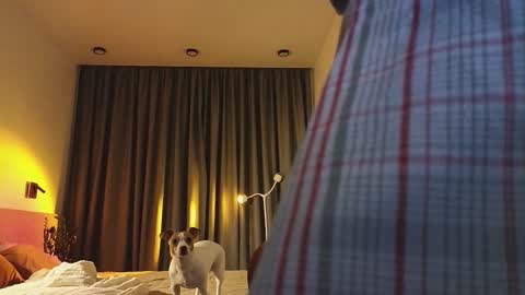 Ariana online show from December 3, 9:46 pm