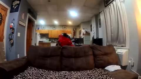 Snapshot of twicethetease2 chatting on February 8, 7:34 am twicethetease2 online show from February 8, 7:34 am