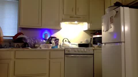 Twin and Lea online show from December 21, 8:38 pm