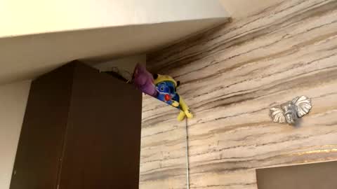 twinslovers_ online show from January 6, 3:32 am