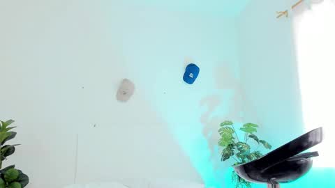 Tyler online show from February 27, 6:20 pm