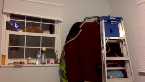 Tyler Durden online show from February 17, 7:15 am