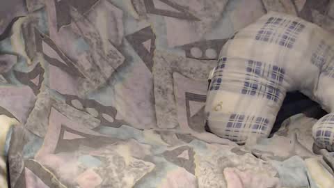 Snapshot of tyson2525 chatting on February 2, 4:05 am Helena and Tyson online show from February 2, 4:05 am