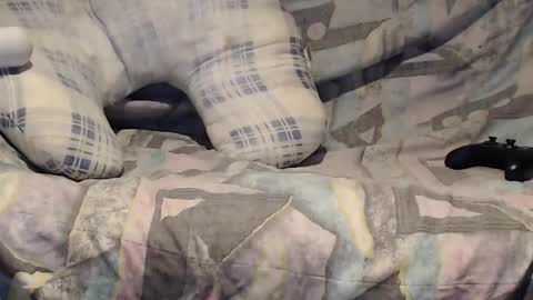 Snapshot of tyson2525 chatting on February 16, 3:26 am Helena and Tyson online show from February 16, 3:26 am