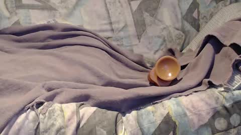 Snapshot of tyson2525 chatting on September 21, 3:41 am Helena and Tyson online show from September 21, 3:41 am