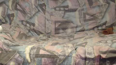 Snapshot of tyson2525 chatting on January 10, 4:47 am Helena and Tyson online show from January 10, 4:47 am