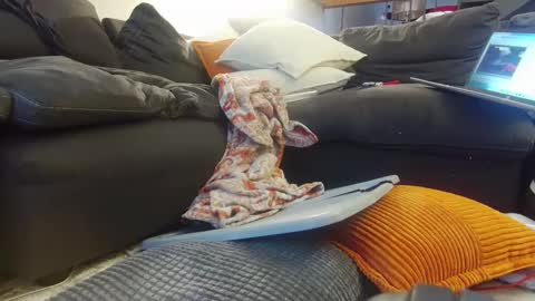 Snapshot of tysonjameson chatting on December 20, 2:27 pm tysonjameson online show from December 20, 2:27 pm