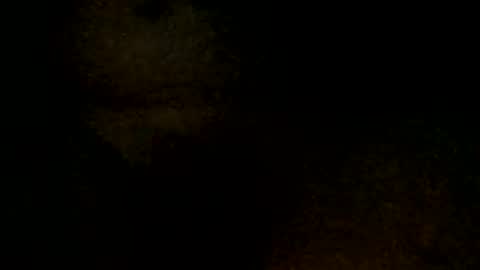 Snapshot of tystickk66 chatting on January 6, 9:52 am tystickk66 online show from January 6, 9:52 am