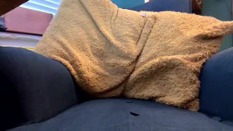 ukclive online show from February 5, 1:22 pm