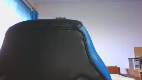 ulmeni4 online show from December 4, 6:44 am