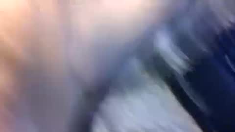 Snapshot of uncut7half237495 chatting on October 17, 3:42 am uncut7half237495 online show from October 17, 3:42 am