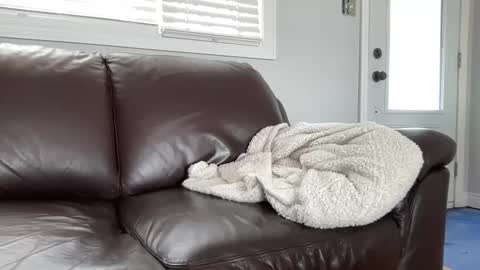 ungerisland online show from March 9, 7:26 pm