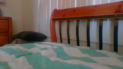 Unique online show from January 30, 9:04 pm