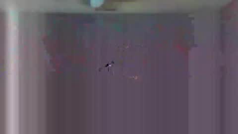 urls2025 online show from November 23, 4:34 am