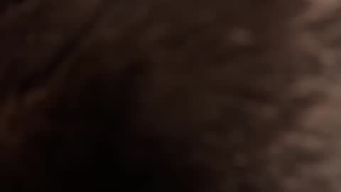 urmissalice online show from February 22, 3:21 pm