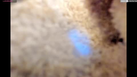 Snapshot of urnewdaddy90 chatting on January 17, 11:18 pm Big Daddy online show from January 17, 11:18 pm